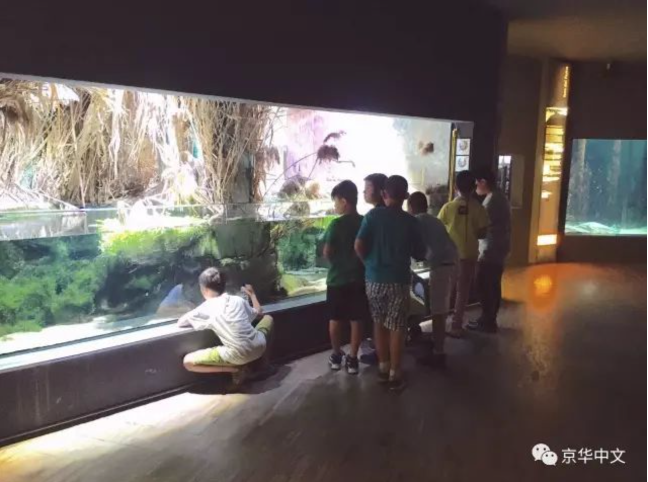 水族馆之行侧记